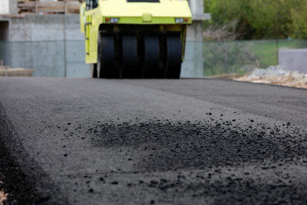 Best Professional Driveway Pavers  in Lexington, TX