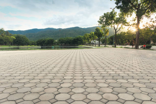 Best Driveway Paving Company  in Lexington, TX