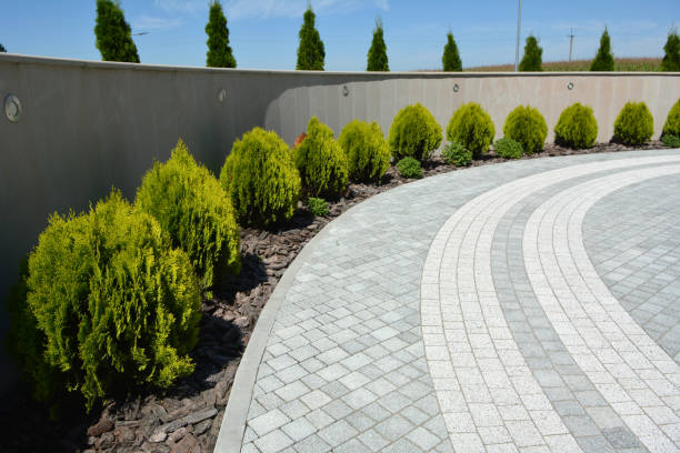 Best Concrete Paver Driveway  in Lexington, TX